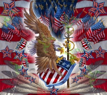  376 Patriotic Eagle 