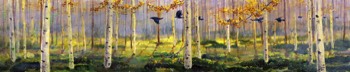  360 Aspen Crows 