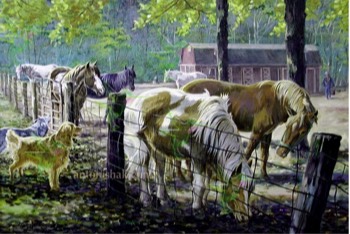  232 McTigue's Horses 