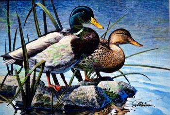  139 Mallards Rocky Retreit 