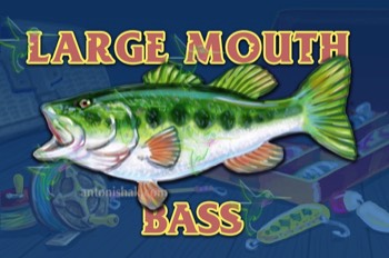  394 Large Mouth Bass 
