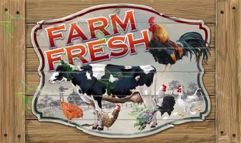  497 Crate Farm Fresh 