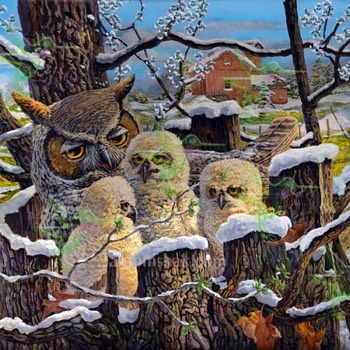  404 Early Spring Owls 
