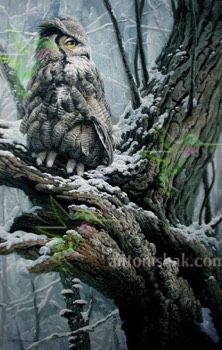 116 Solitude -Great Horn Owl 