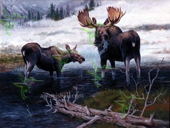  132 Moose 